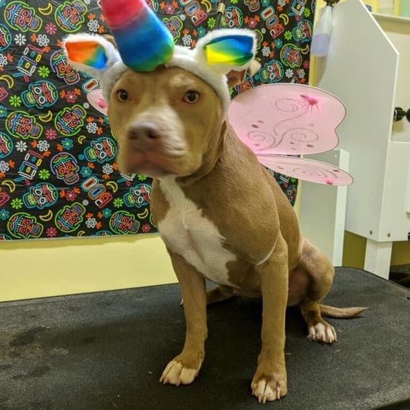 Meet your Posher, Jen - Picture 10 of 12